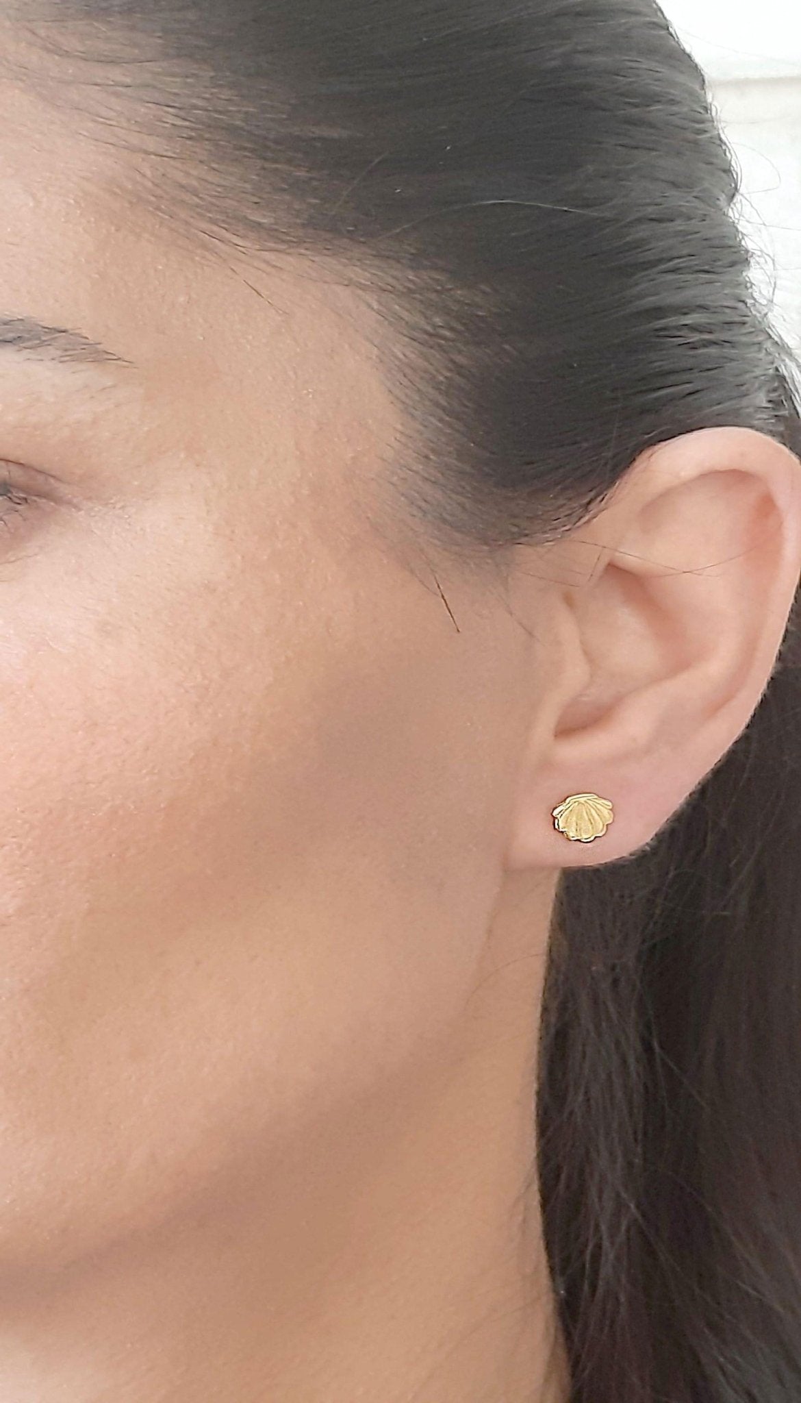 14K Solid Gold Seashell Stud Earrings - InfinityJools